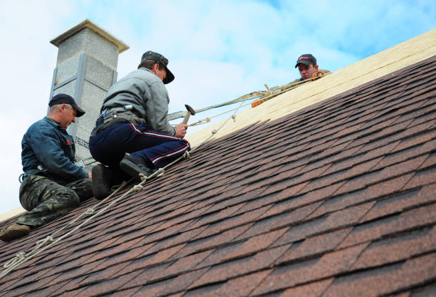 Best New Roof Installation  in Lac Du Flambeau, WI